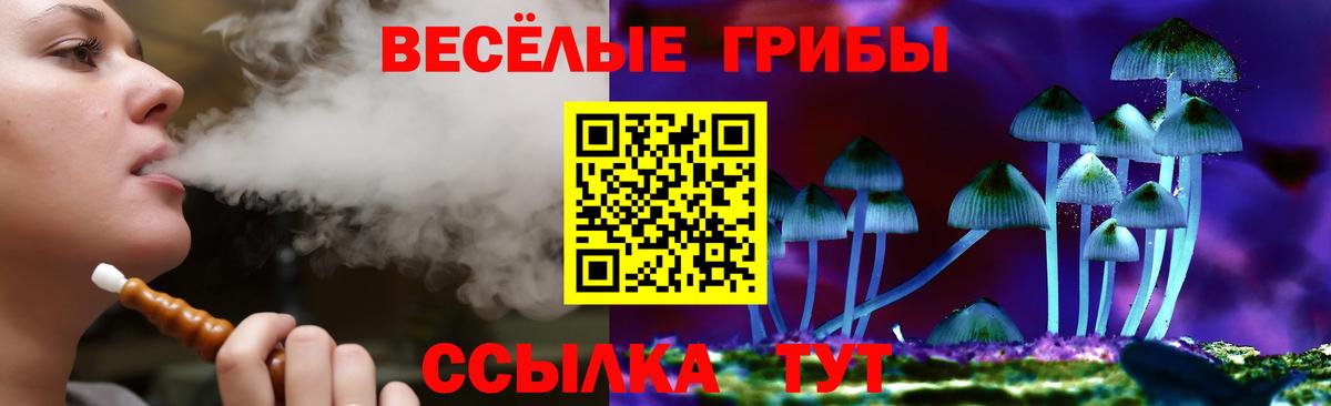 Псилоцибиновые грибы мухоморы  Вход с VPN  Гуково  Галлюциногенные грибы Cubensis 